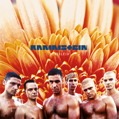 Rammstein: Herzeleid