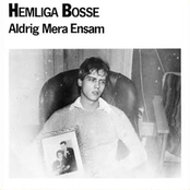 hemliga bosse