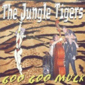 the jungle tigers