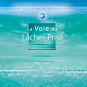 Les voies de la relaxation: la voie du lâcher prise (Embellir la vie par la relaxation)