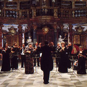 nikolaus harnoncourt & concentus musicus wien