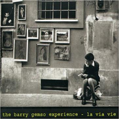 The Barry Gemso Experience