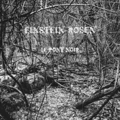 Einstein-Rosen
