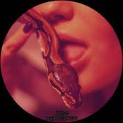 They Had Sex - Single