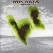 mr. asia