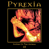 Pyrexia: System of the Animal 25