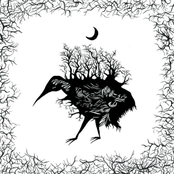 Hatching Under the Stars