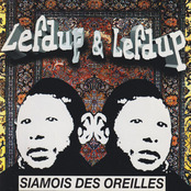 Siamois des oreilles
