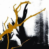 Buried At Sea - Migration