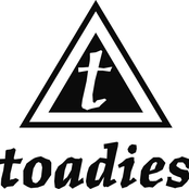 Dig A Hole by Toadies