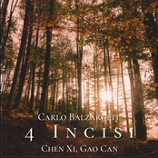 Carlo Balzaretti: 4 Incisi