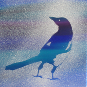 Earth terminal promo 1(march08)