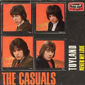 the british casuals