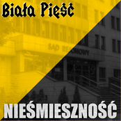 Nieśmieszność