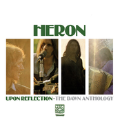 Upon Reflection by Heron