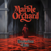 Ruminations of Ruin