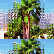 trøpical