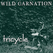 The Rising Tide by Wild Carnation