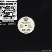 Pandemonium-EP Vinyl