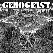 Genogeist