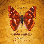 Gypsy Fever