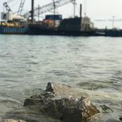 Crash and the Boys - Single