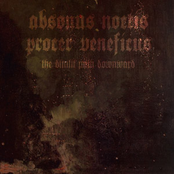 The Dimlit Path Downward (Split)