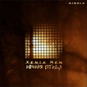 Ночная птица Single