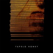 Tupelo Honey (2004-2005)