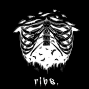 ribs.