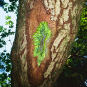 Sam Blasucci: CYCLES // WHO LIVES ON THESE LANDS