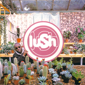 Lush - Lovelife Artwork