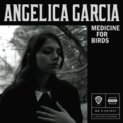 Angelica Garcia: Medicine for Birds