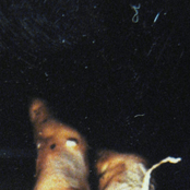 The Abyss Of Non-Being