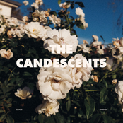 The Candescents: Grass