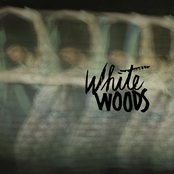 White Woods