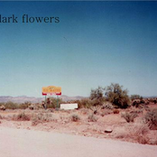 The Dark Flowers