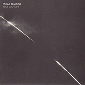 Leaf Green Bodies by Taiga Remains