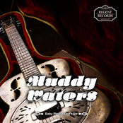 Two Steps Forward by Muddy Waters