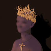 Ο υιός με το στέμμα