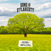 Home - Spring