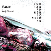 Schizophrenic Spider