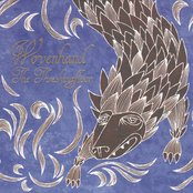 His Rest by Wovenhand