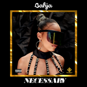 Necessary - Single