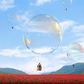 Black Israelis (The New World)