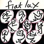 This Illness by Fiat Lux