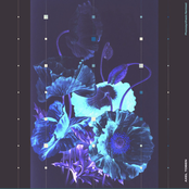 Phonosynthesis Remixed