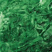 Mossed Capable Of Being Observant