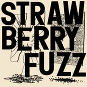 Strawberry Fuzz: Strongs Dr.