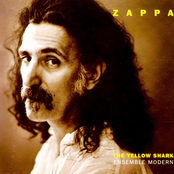 The Yellow Shark